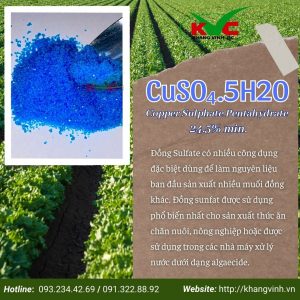 CuSO4.5H2O (Dạng bột) – Việt Nam